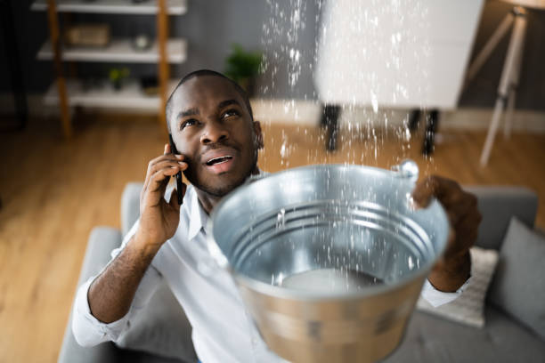 Best Water damage restoration insurance claims  in Manchester, IA