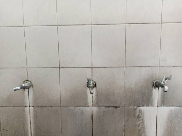 Best Flood damage cleanup  in Manchester, IA
