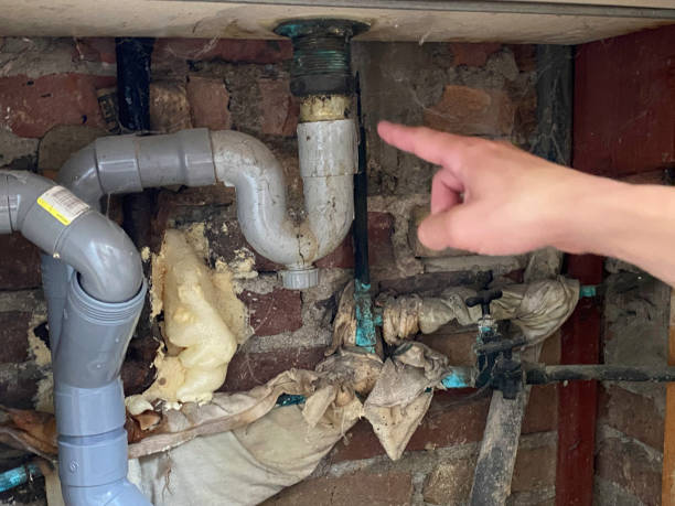 Best Water damage mitigation services  in Manchester, IA